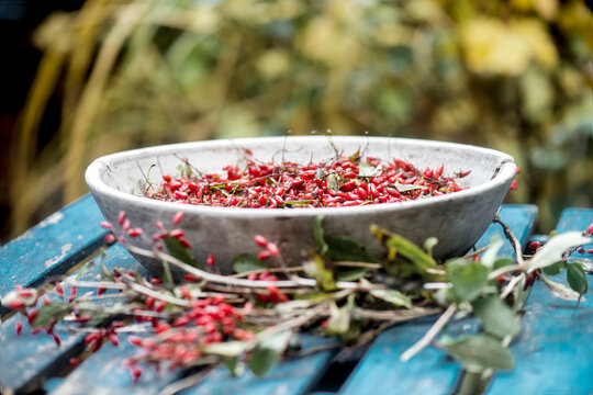 Fresh barberries in bowl on wooden table in garden