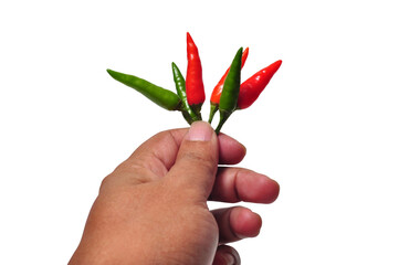 Hand holding cayenne pepper transparent background