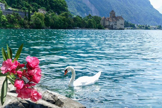 Beautiful landscape of Montreux, Switzerland
