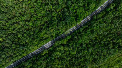 Aerial view asphalt road and green forest, Forest road going through forest view from above,...