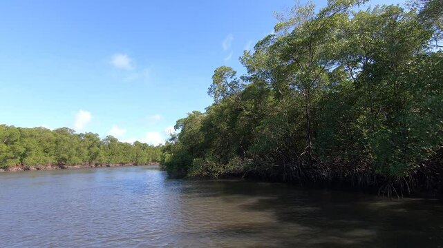 Sinimbu River - Marca&ccedil;&atilde;o, Para&iacute;ba, Brazil