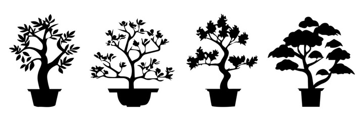 silhouettes of trees