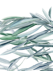 Watercolor olive branch, Watercolor olive leaves, Transparent background, Illustration of olive tree branch, Olive leaves branch painting, Peace Symbol, Olive leaves on transparent background
