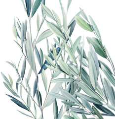 Watercolor olive branch, Watercolor olive leaves, Transparent background, Illustration of olive tree branch, Olive leaves branch painting, Peace Symbol, Olive leaves on transparent background