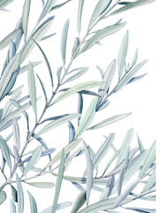 Watercolor olive branch, Watercolor olive leaves, Transparent background, Illustration of olive tree branch, Olive leaves branch painting, Peace Symbol, Olive leaves on transparent background