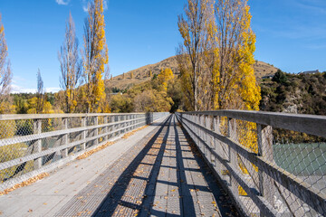 A narrow and weathered wooden bridge with a railing surrounded by golden autumn trees. The historic old Lower Shotover Bridge over Shotover River, Queenstown, New Zealand.