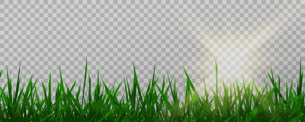Grass border, vector illustration. Vector grass, lawn. Grass png, lawn png. Green grass with sun glare.	
