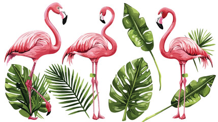 Flamingos and palm leaves illustration. Exotic Hawaii