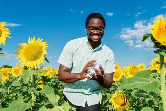 Happy man crumpling paper amidst sunflowers in field