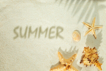 Shells, starfish, the shadow of a palm tree and the inscription SUMMER on the sand. - 791416822