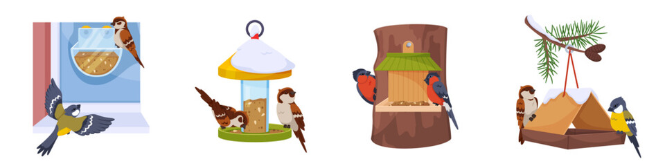 Feeders with birds. Sparrows, tits and bullfinches peck at grain. Different birdhouse shapes hanging containers and boxes with food. Animal shelters. Park birdwatching. Recent vector set