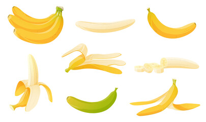Cartoon banana. Bunch, whole tropical fruit and slices. Yellow peel. Ripe and unripe. Organic garbage. Slipping on husk. Dietary product. Recycling litter. Plant ingredients vector set
