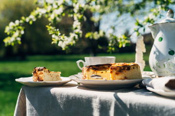 Low angel view of San Sebastian Burnt Basque cheesecake. Aesthetic countryside breakfast
