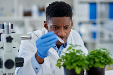 Black man, scientist and growth or water plants for research, liquid and solution in container. Fluid, doctor and medical for biodiversity in lab or herbal pharma, dropper and process for experiment