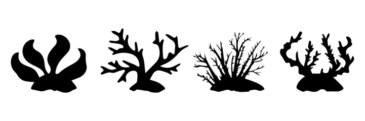 silhouette of a grass