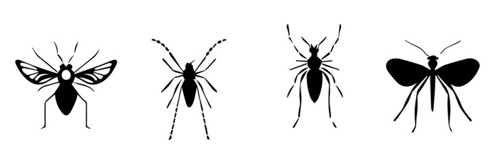 silhouette of insect