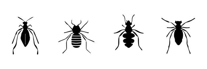 hand drawn illustration of a insect © VihiTech