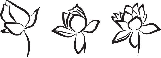 FLOWER ICON FROM BUD TO BLOOM STAGE