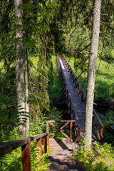 Top view of a wooden bridge over a small forest river. Summer landscape with a pedestrian bridge. Hiking trail in a forest area. Traveling and hiking in the forest. Ecological tourism.
