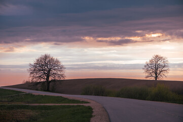 Spring sunset sky landscape with asphalt country road curve and tree silhouettes in Latvia