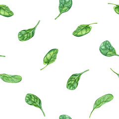 Watercolor seamless pattern with leafy green flowering plant spinach. Hand drawn illustration for clip art menu label package