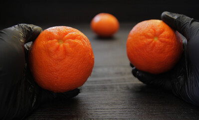 Concept, hands in black rubber gloves hold ripe tangerine fruits. Citrus fruits contrast well against a dark background. Citrus fruits are shot close-up.
