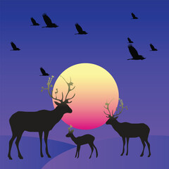 deer in the forest at night