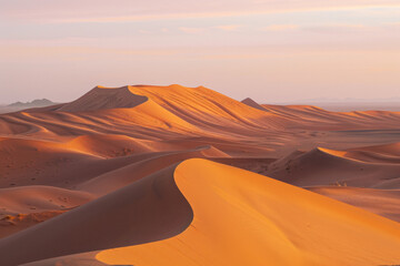 Fototapeta na wymiar The undulating curves of desert sand dunes at dusk, with soft golden light casting long shadows