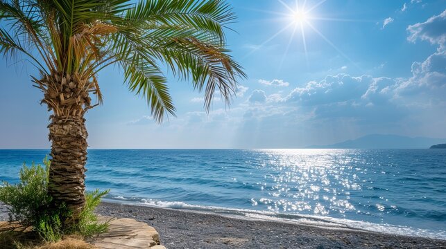 A beautiful view of the sea with a palm tree on a sunny day, offering a tranquil and picturesque scene