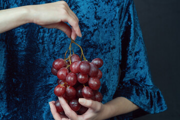 Hands holding a bunch of red grapes against a blue velvet background. Healthy lifestyle and vegan...