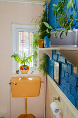 Belfast, County Down, Northern Ireland April 16 2024  - Bathroom cistern and shelf with plants and...