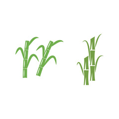Sugarcane logo vector template symbol design