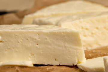 close-up of a piece of soft Caucasian cheese made from milk