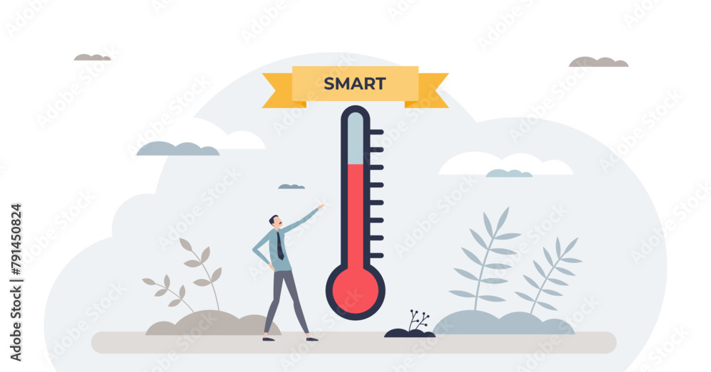 Poster smart goals with specific, measurable, achievable, relevant and time bound task objectives tiny pers