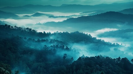 Fototapeta na wymiar Beautiful misty mountain landscape with forest in the foreground