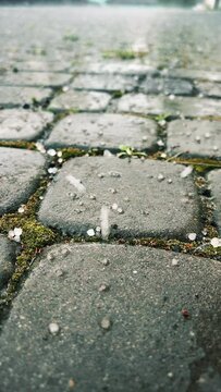 Hail falls on the cobblestA large number of ice pieces of hail fall on the concrete pavement in the city. Vertical video. High quality 4k footage