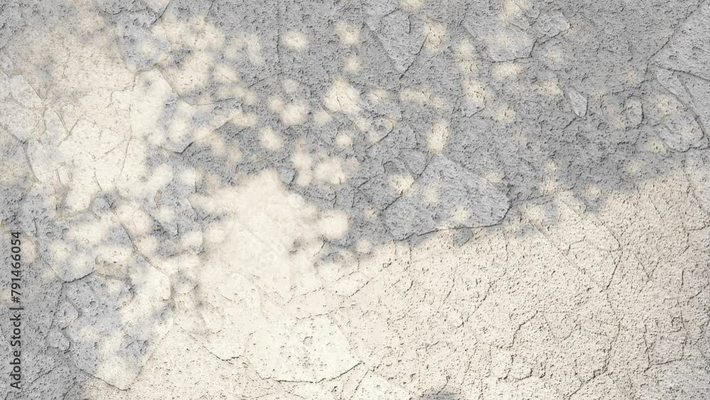 Poster tree leave shade on dry soil ground surface looping animation