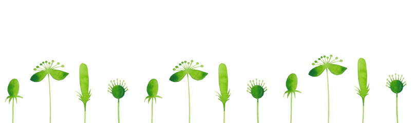 Border of green plants in sketch style. Collection of watercolor plants for your design. Hand drawing. Natural elements for seamless patterns, wallpapers, prints, ornaments and stationery