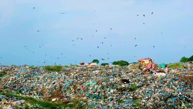 Plastic Pollution in Landfill full of Birds Flying Around. Pollution