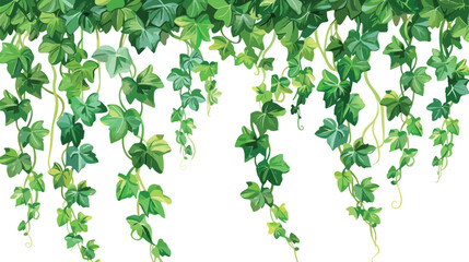 Green vine liana or ivy hanging from above or climbing