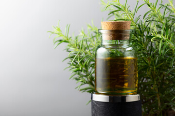 Rosemary essential oil and fresh rosemary.