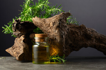 Rosemary essential oil and fresh rosemary with old snag on a stone background.