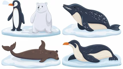 Fototapete Animated sea whale, white bear, penguin and seal on ice floes, the North Pole inhabitants in a zoo or outdoor area. Animals in fauna isolated on white background, modern illustration. © Mark