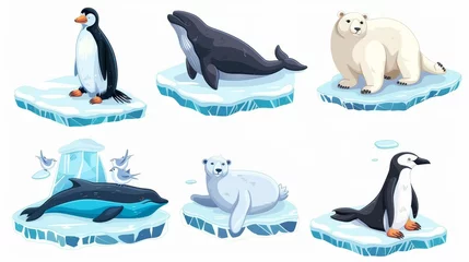 Fotobehang Animated cartoon of a sea whale, a white bear, a penguin, and a seal on ice floes. North Pole inhabitants in a zoo park or outdoor area. Animals in the fauna isolated on a white background. © Mark