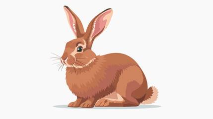 American rabbit with long ears. Cute bunny 