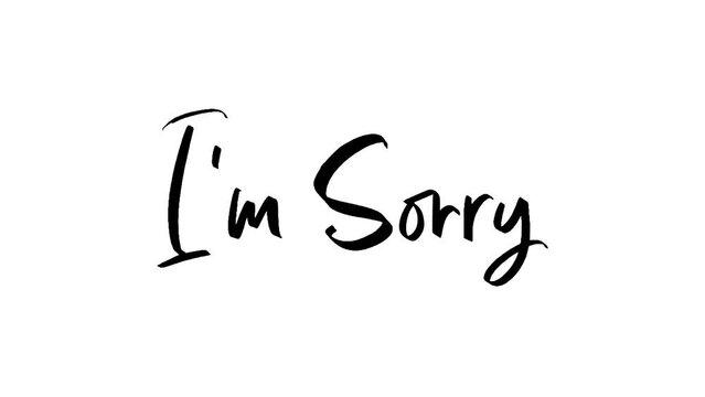 Phrase i am sorry handwritten on alpha channel 4k.