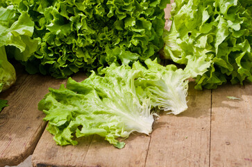 Fresh organically grown green lettuce laying in a market stall ready for sale at farmers market in...
