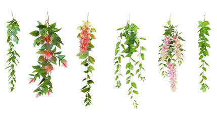 A row of green and pink vines hang from the ceiling