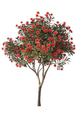 Naklejka premium A red tree with green leaves