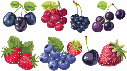 Berries set. Cherry black currant raspberry gooseberr